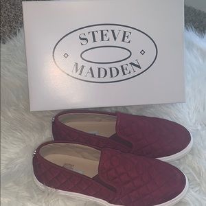 STEVE MADDEN ecentrcq sneaker